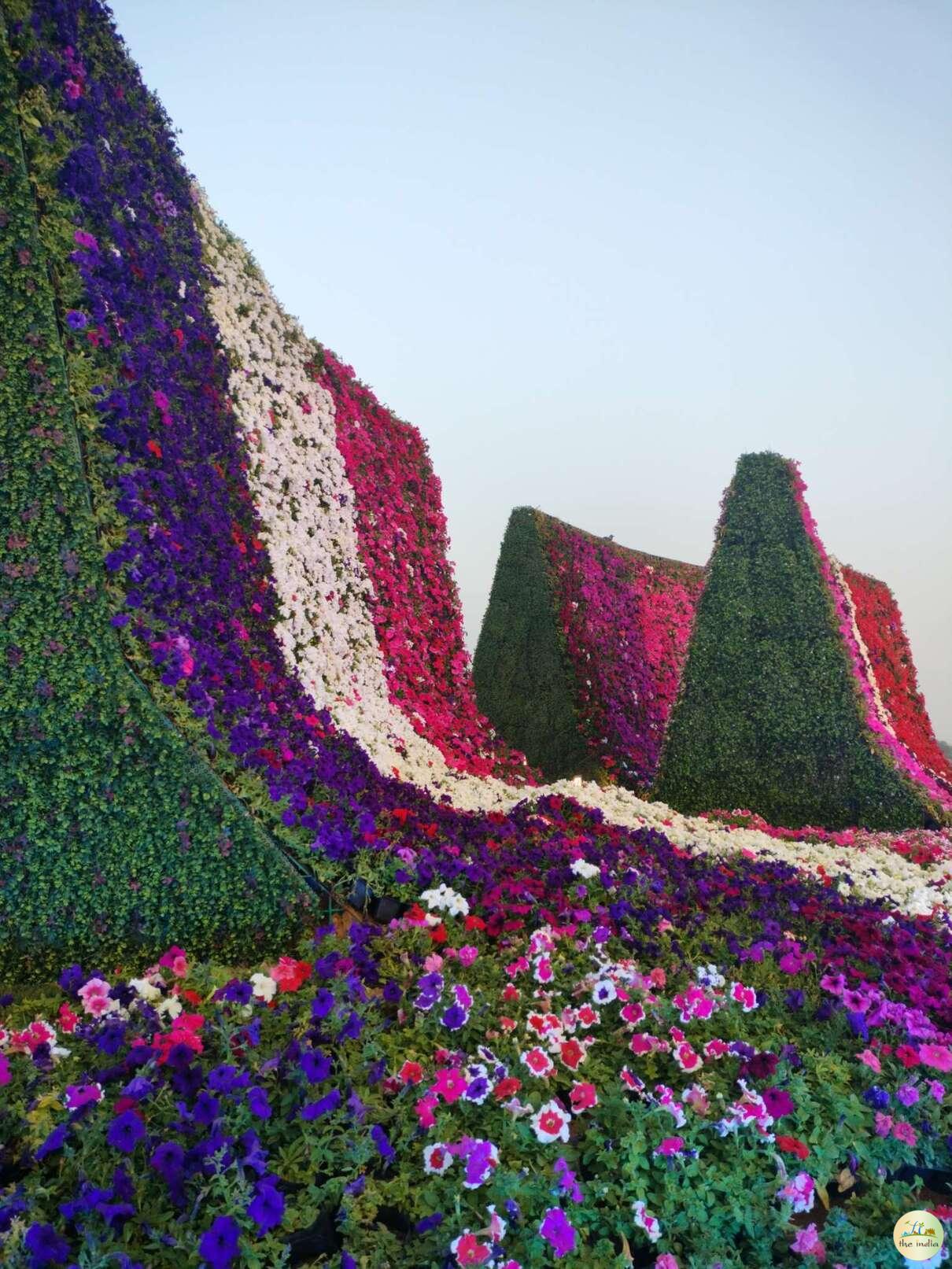 Riverfront Flower Park Ahmedabad