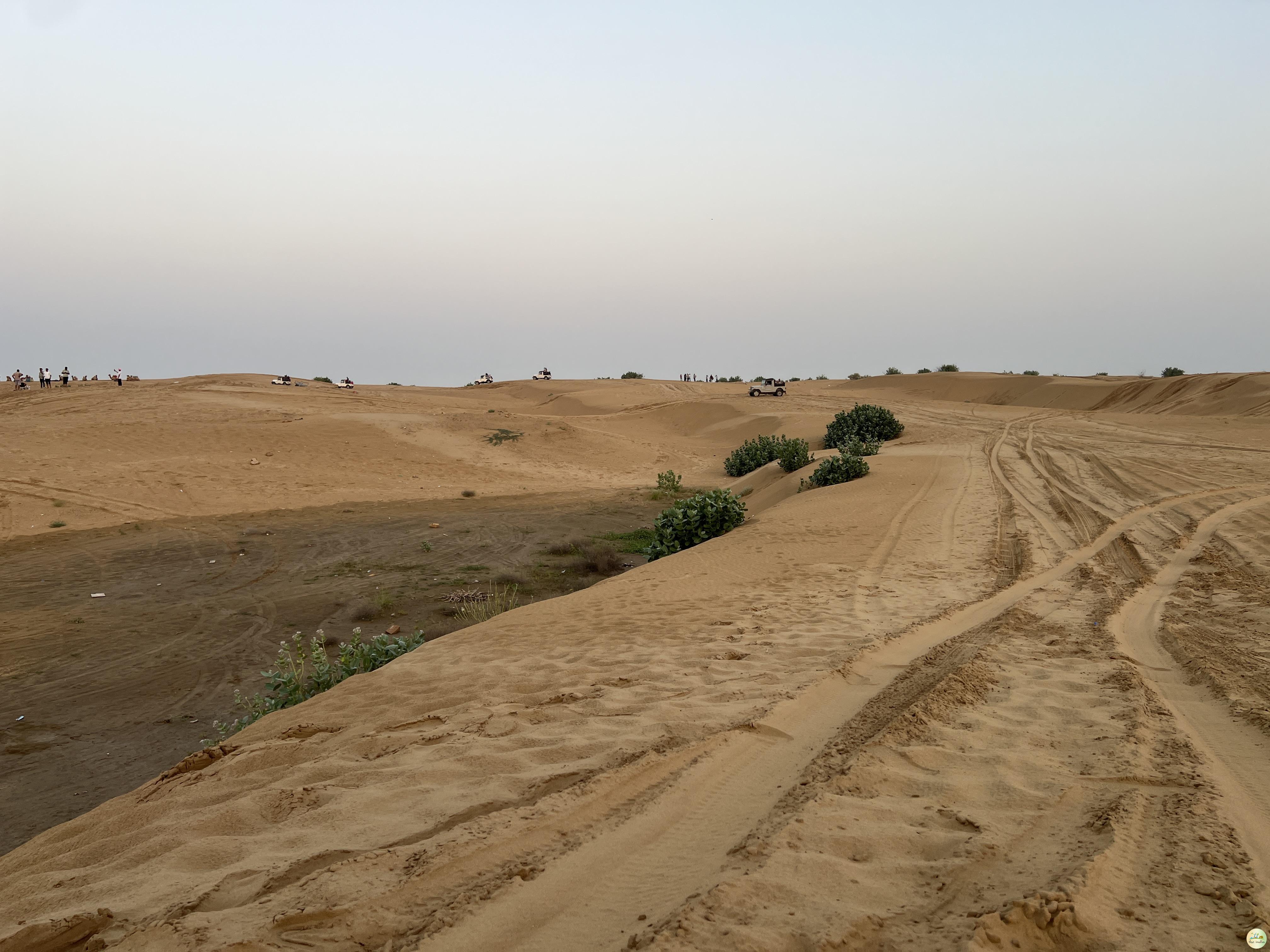 Sam Sand Dunes Jaisalmer