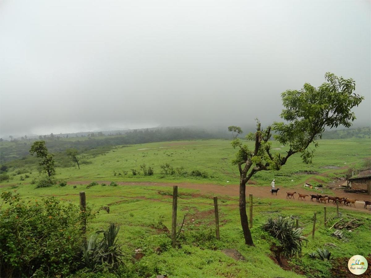 Saputara Hill Station Saputara