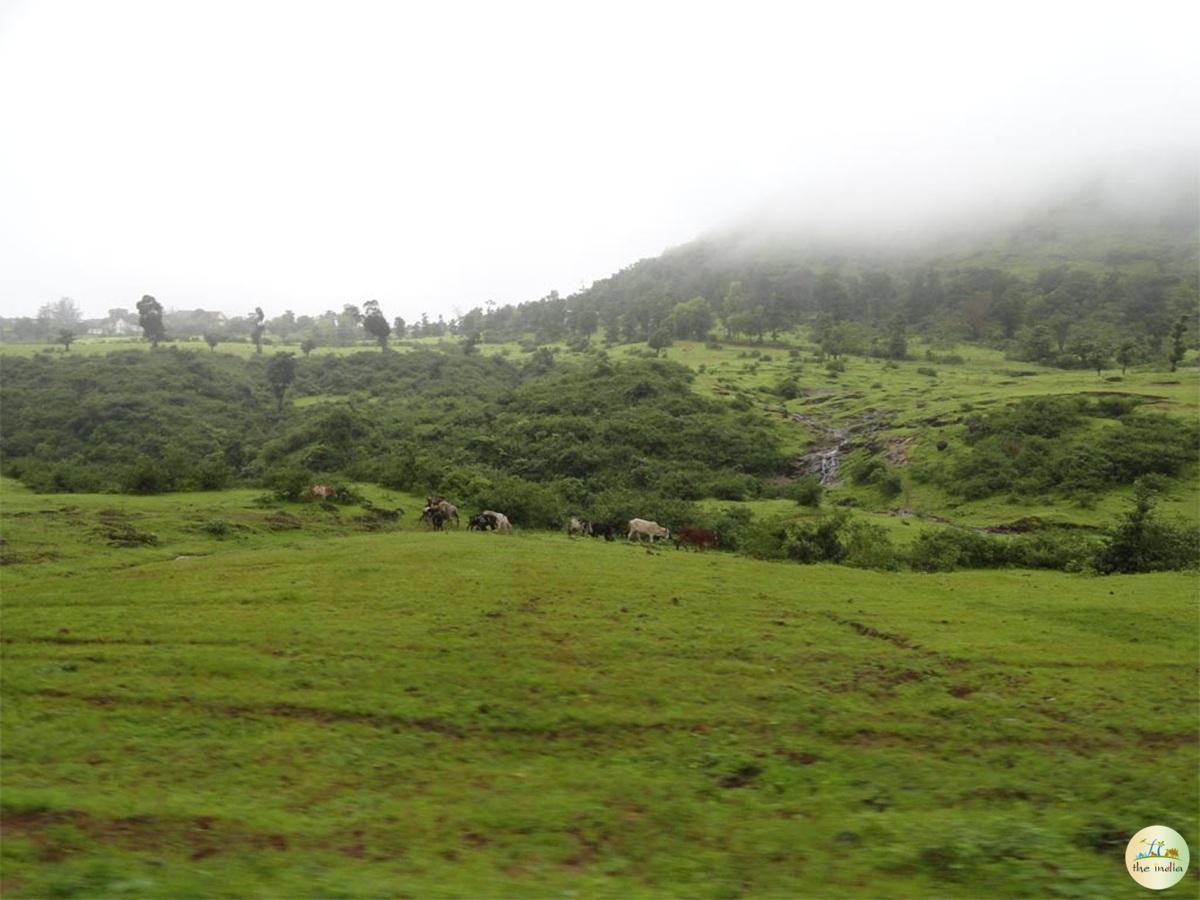 Saputara Hill Station Saputara