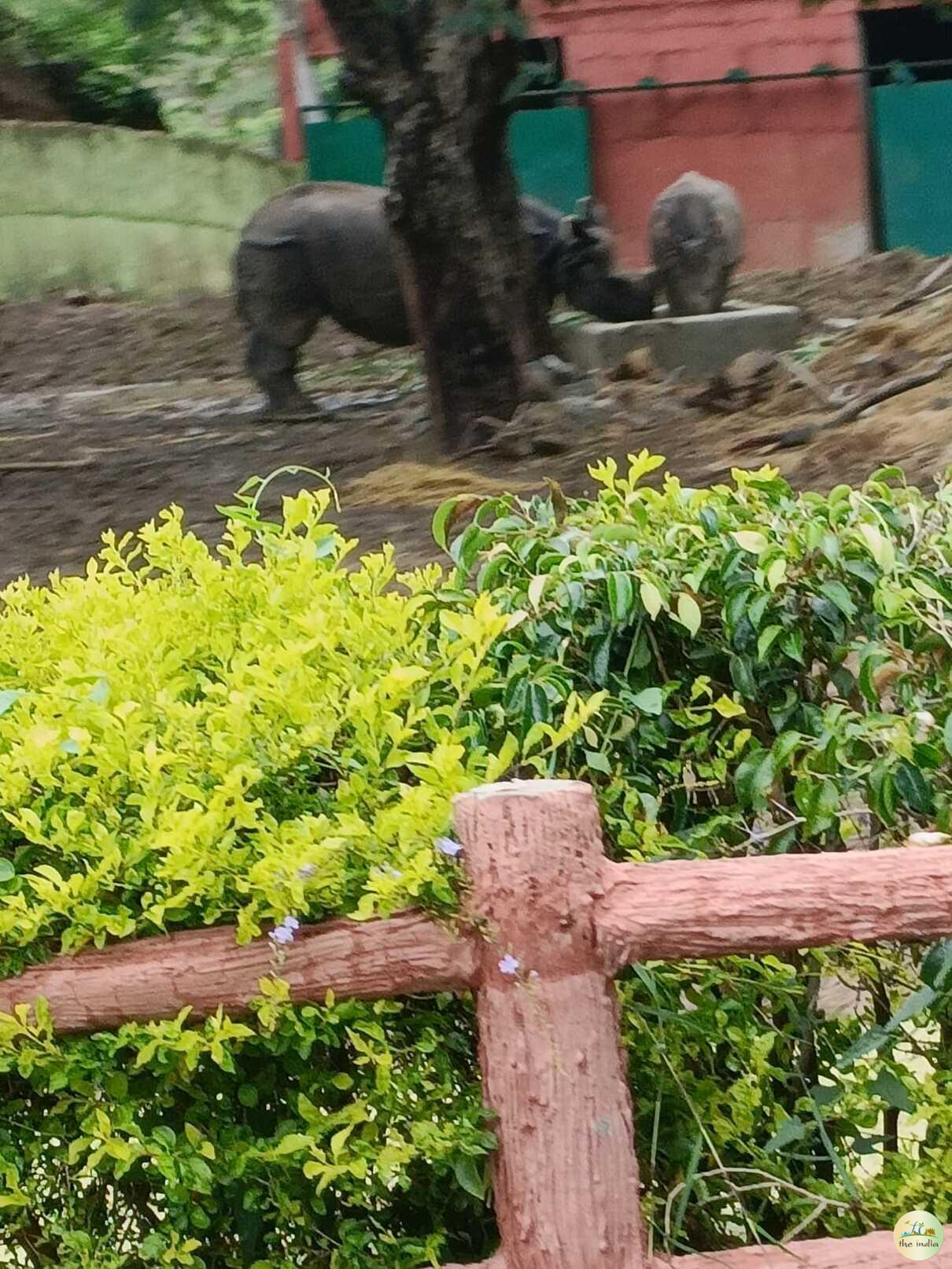 Sardar Patel Zoological Park Statue of Unity