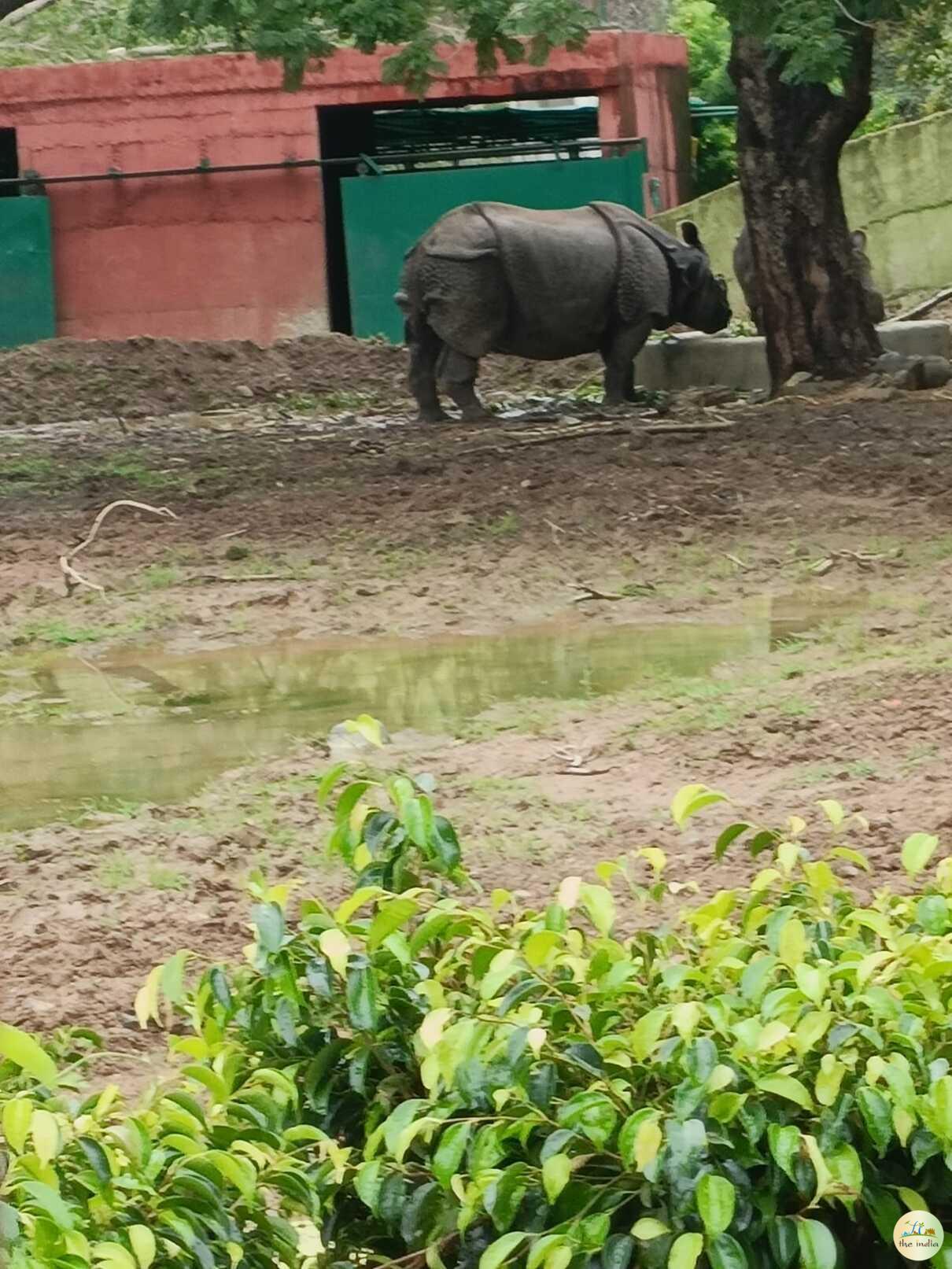 Sardar Patel Zoological Park Statue of Unity