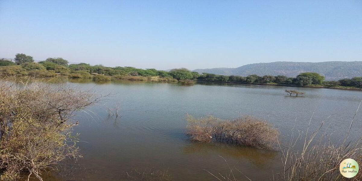 Sariska National Park Alwar