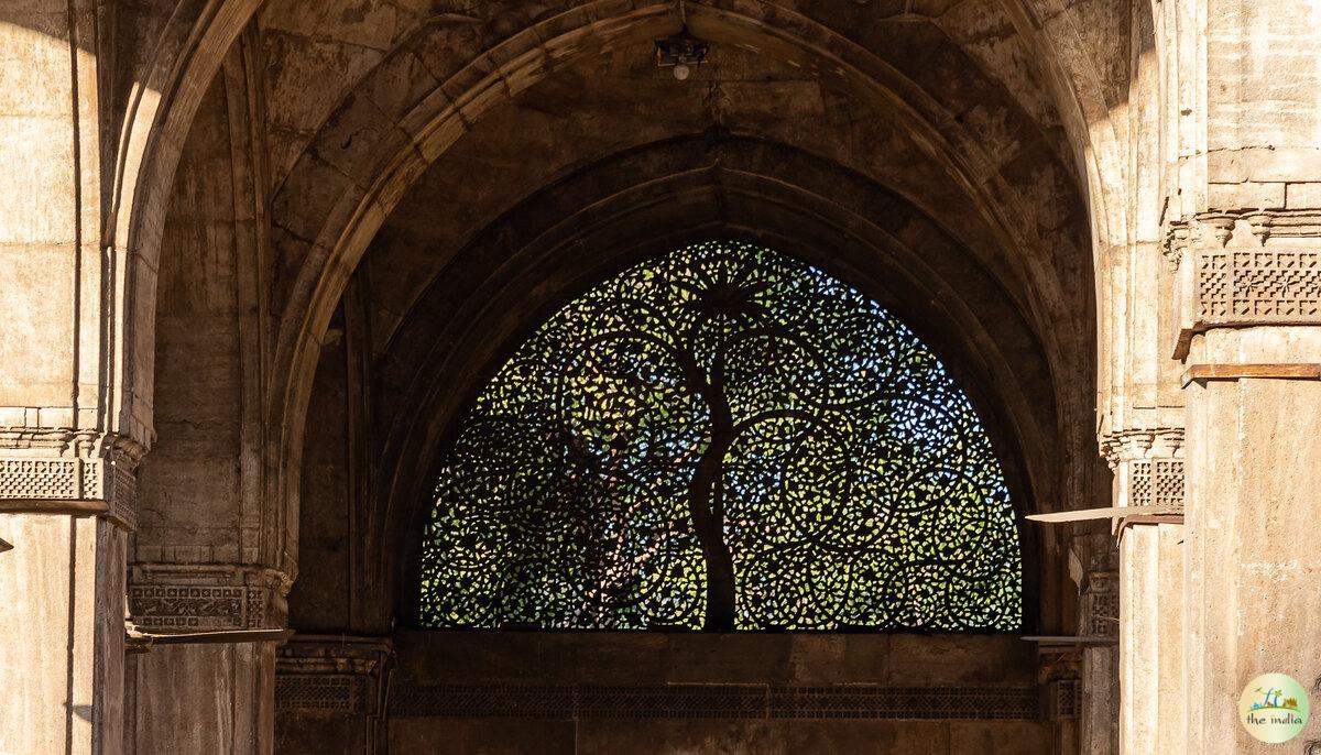 Sidi Saiyyed Mosque Ahmedabad