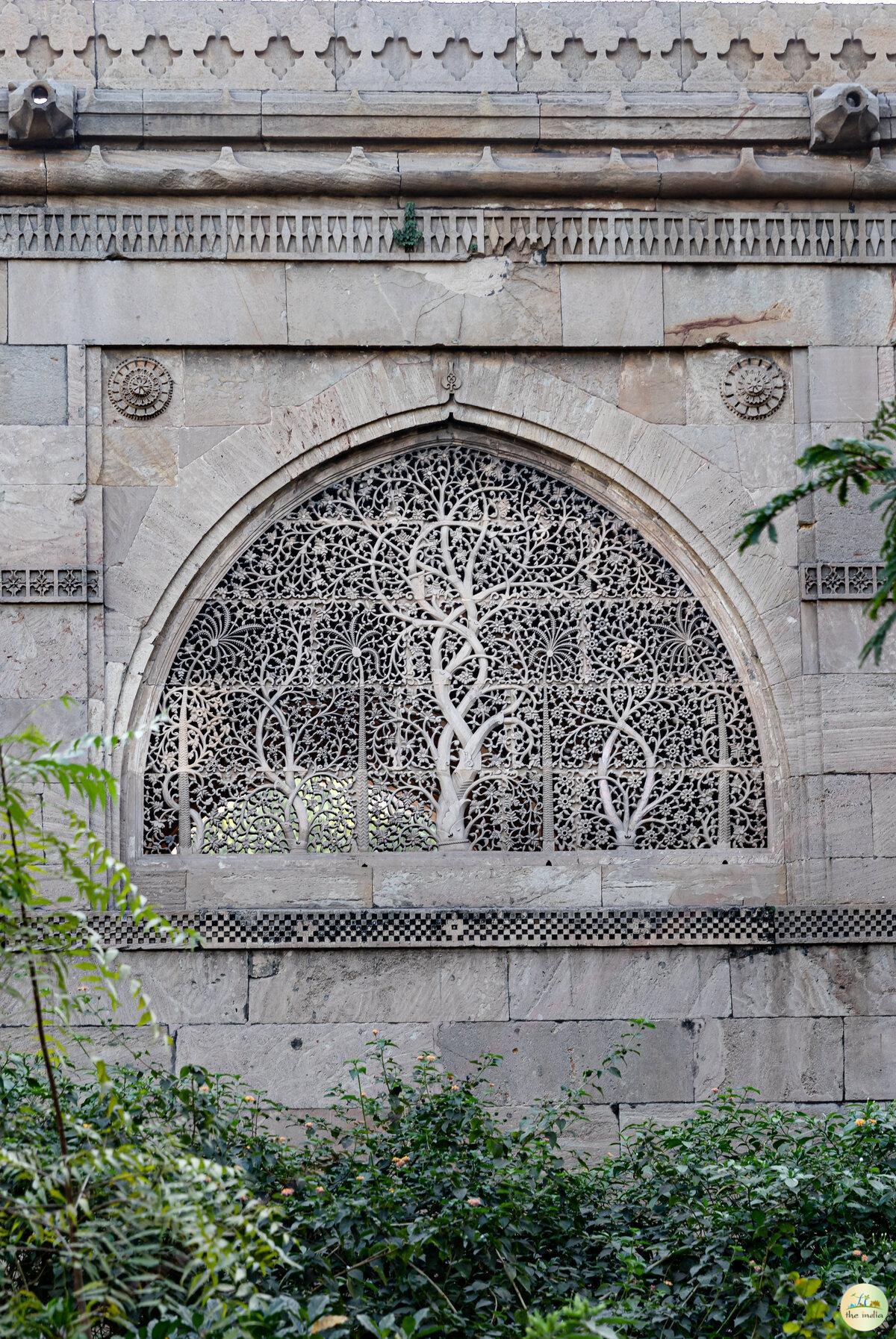 Sidi Saiyyed Mosque Ahmedabad