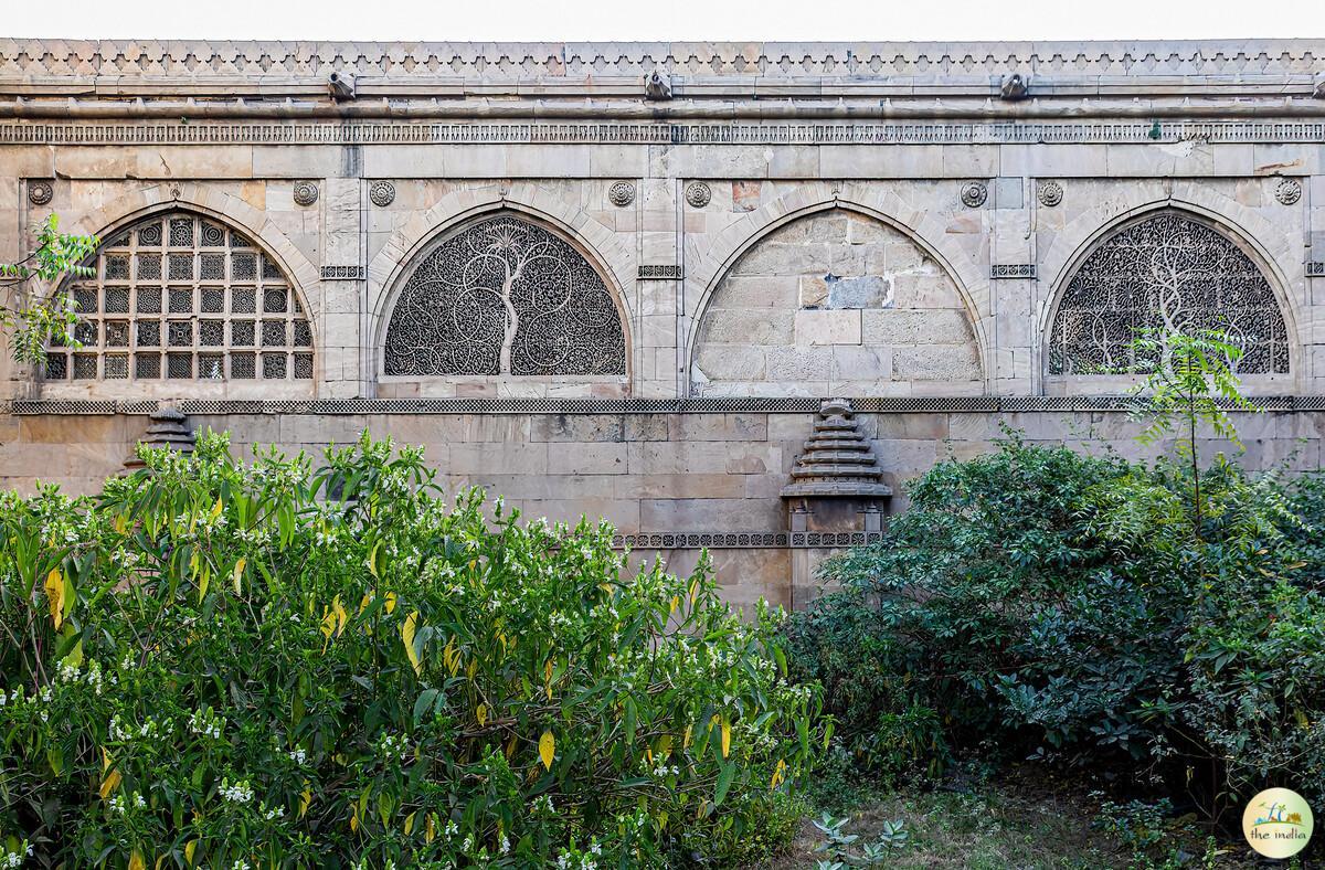 Sidi Saiyyed Mosque Ahmedabad