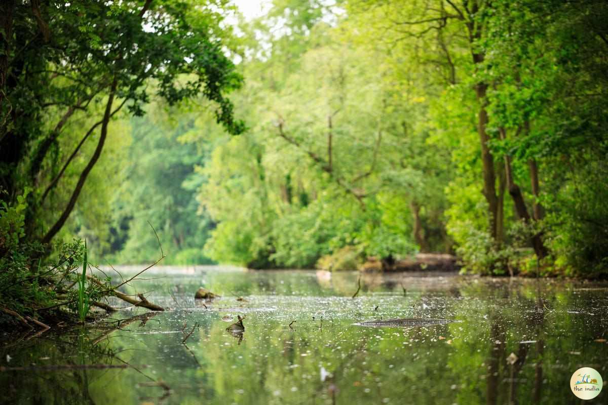 Sundarbans National Park Gosaba