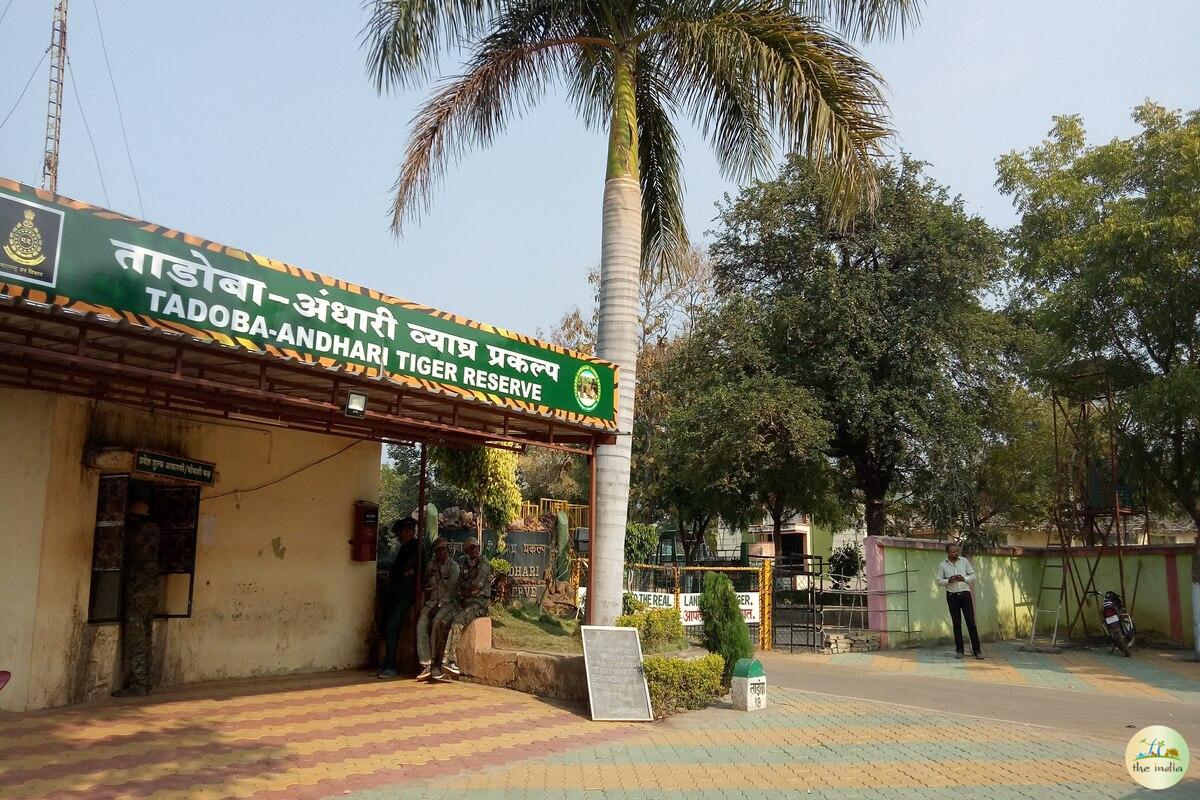 Tadoba-Andhari Tiger Reserve Chandrapur