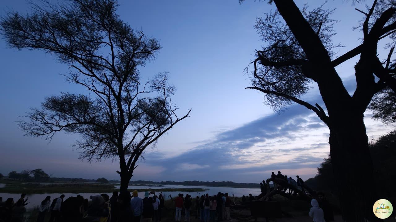 Thol Bird Sanctuary Ahmedabad