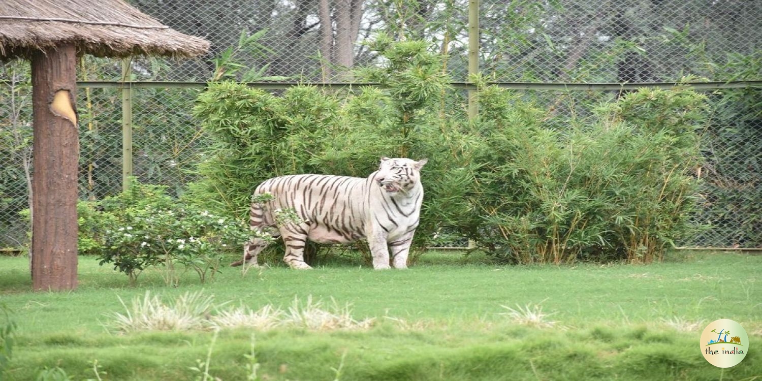 Vansda National Park (Gujarat)