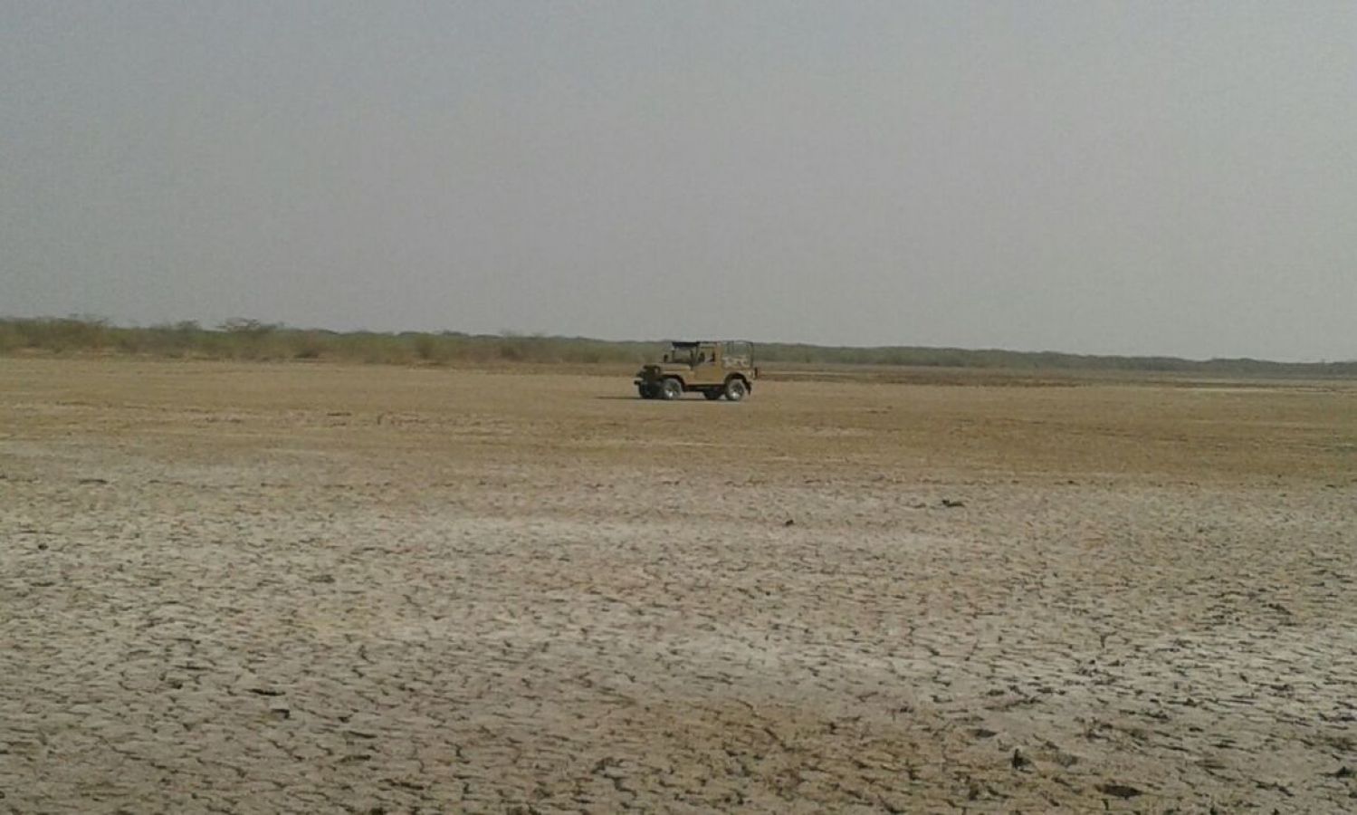 Little Rann of Kutch (LRK) Kutch