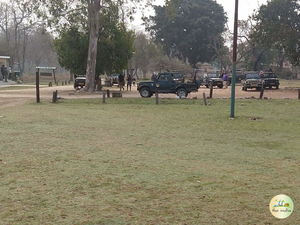 Jim Corbett National Park Nainital