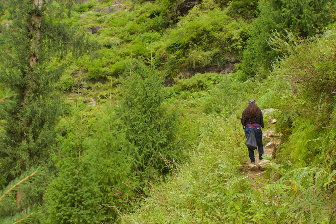 Jogini Falls Manali