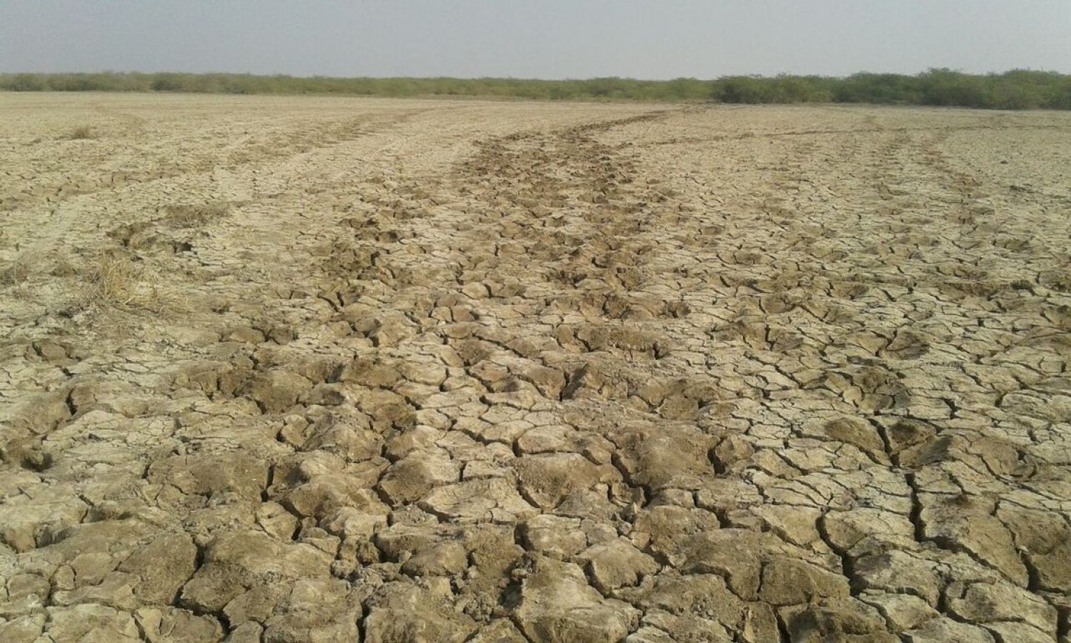 Little Rann of Kutch (LRK) Kutch