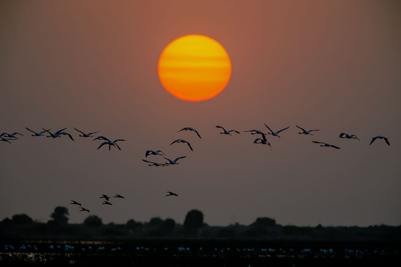 Little Rann of Kutch (LRK) Kutch