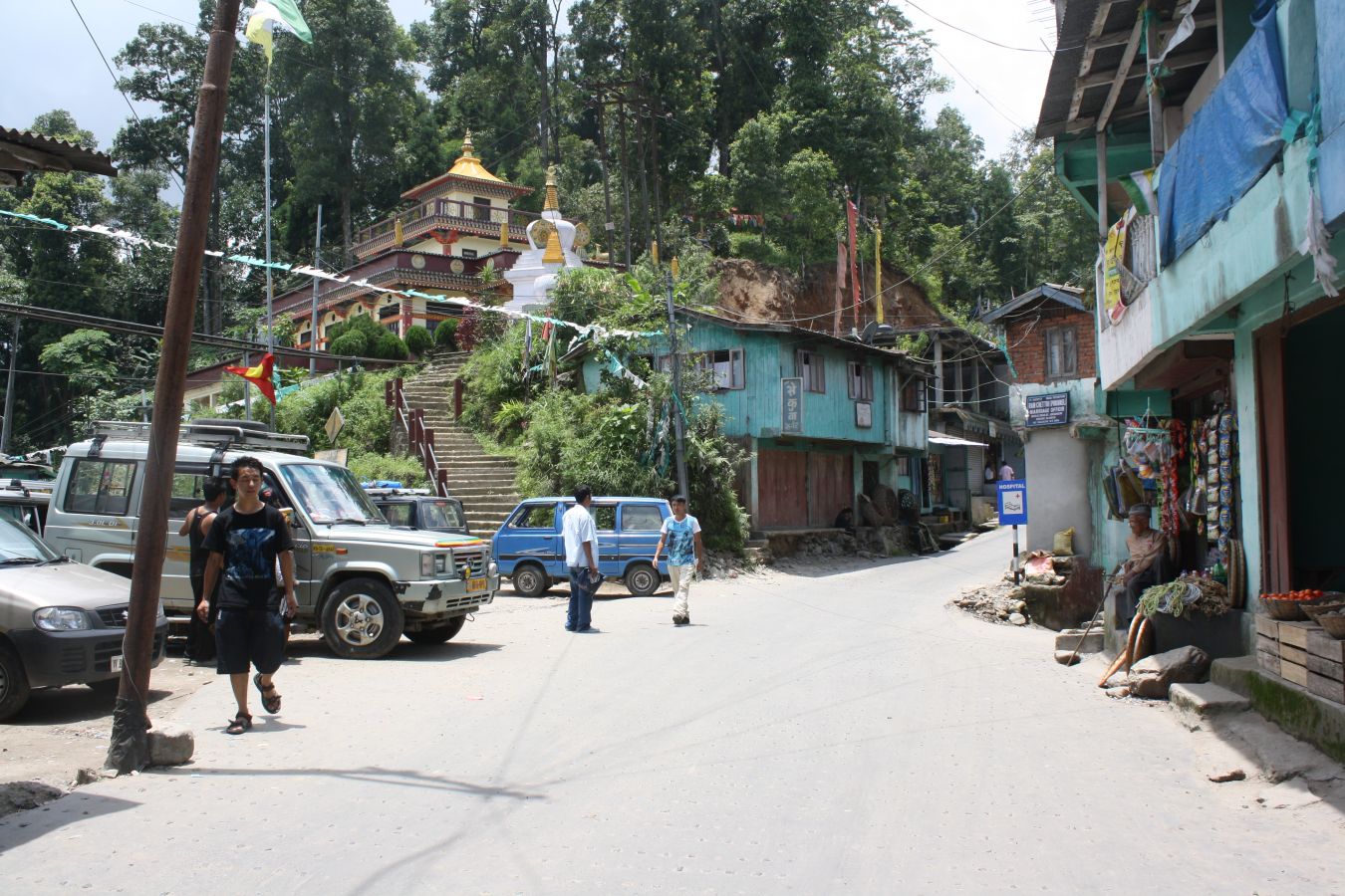 Mungpoo (Mangpu) Darjeeling