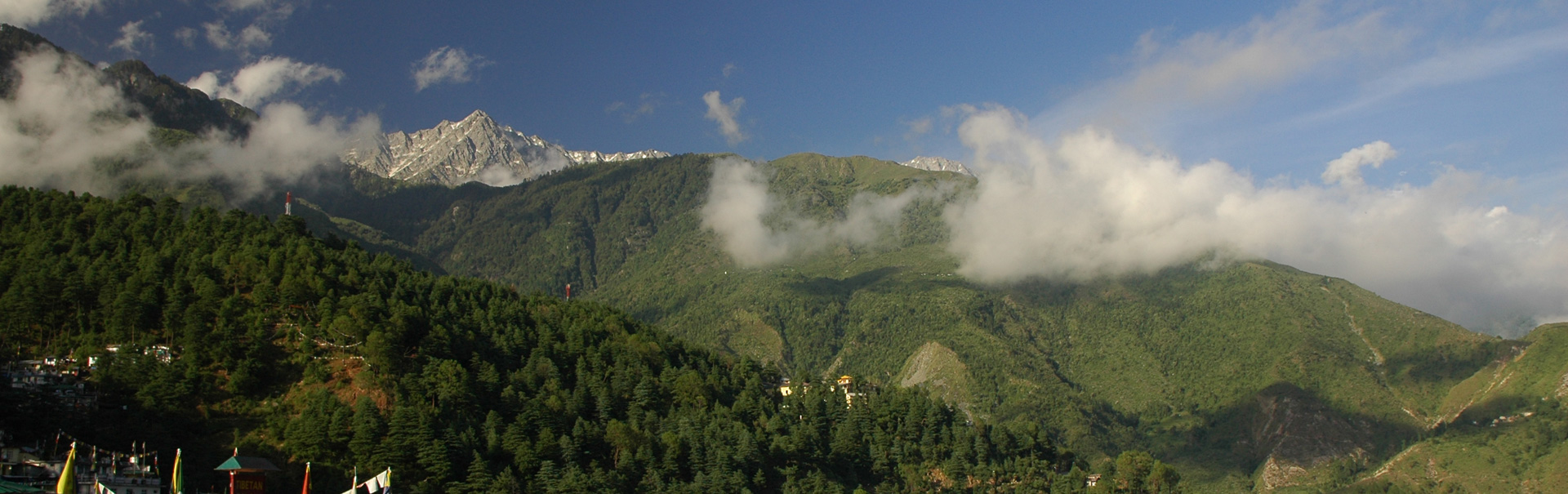 Triund Trek with Toddlers