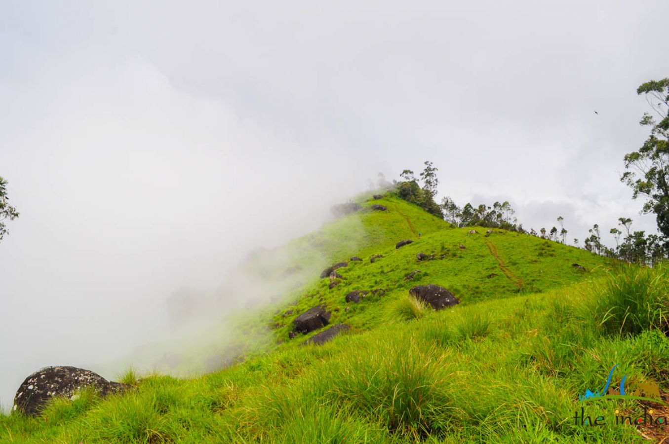 Grassland Munnar