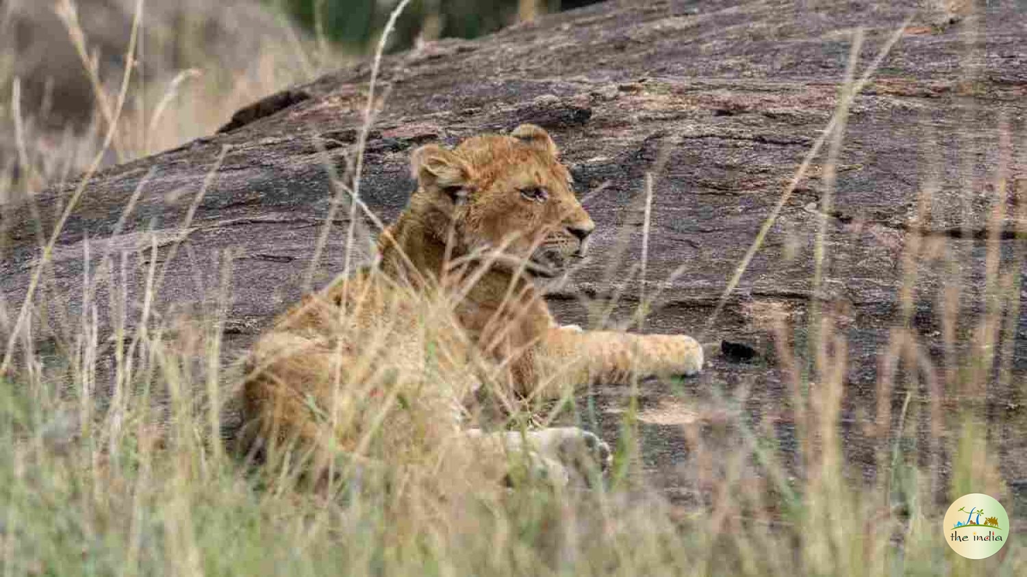 Mitiyala Wildlife Sanctuary Mitiyala