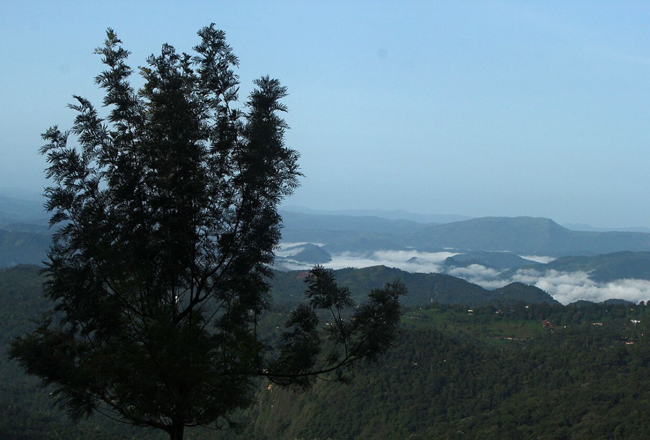 Munnar Hill Station Munnar