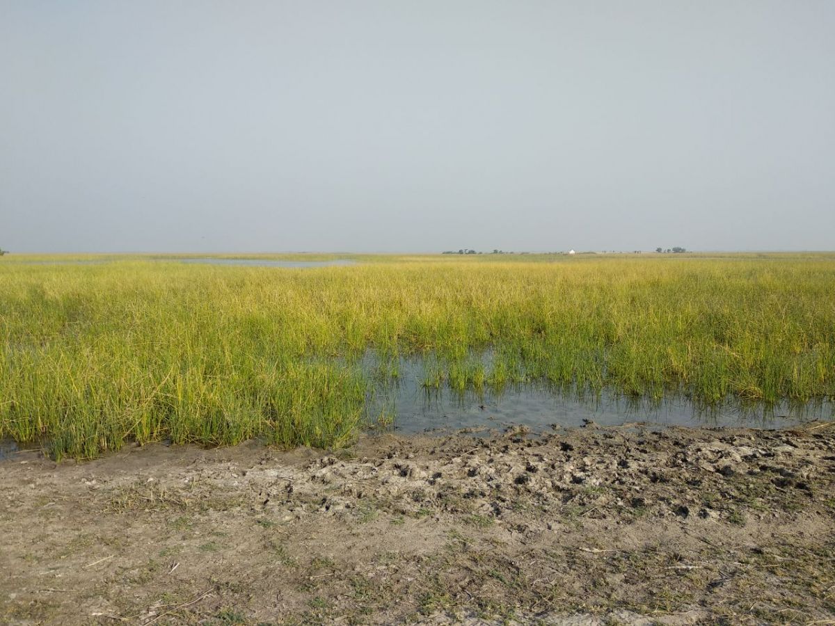 Nal Sarovar Ahmedabad