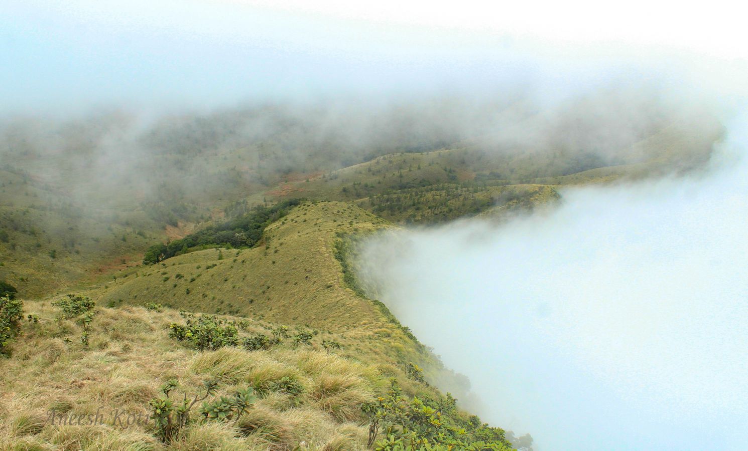 Meesapulimala Munnar