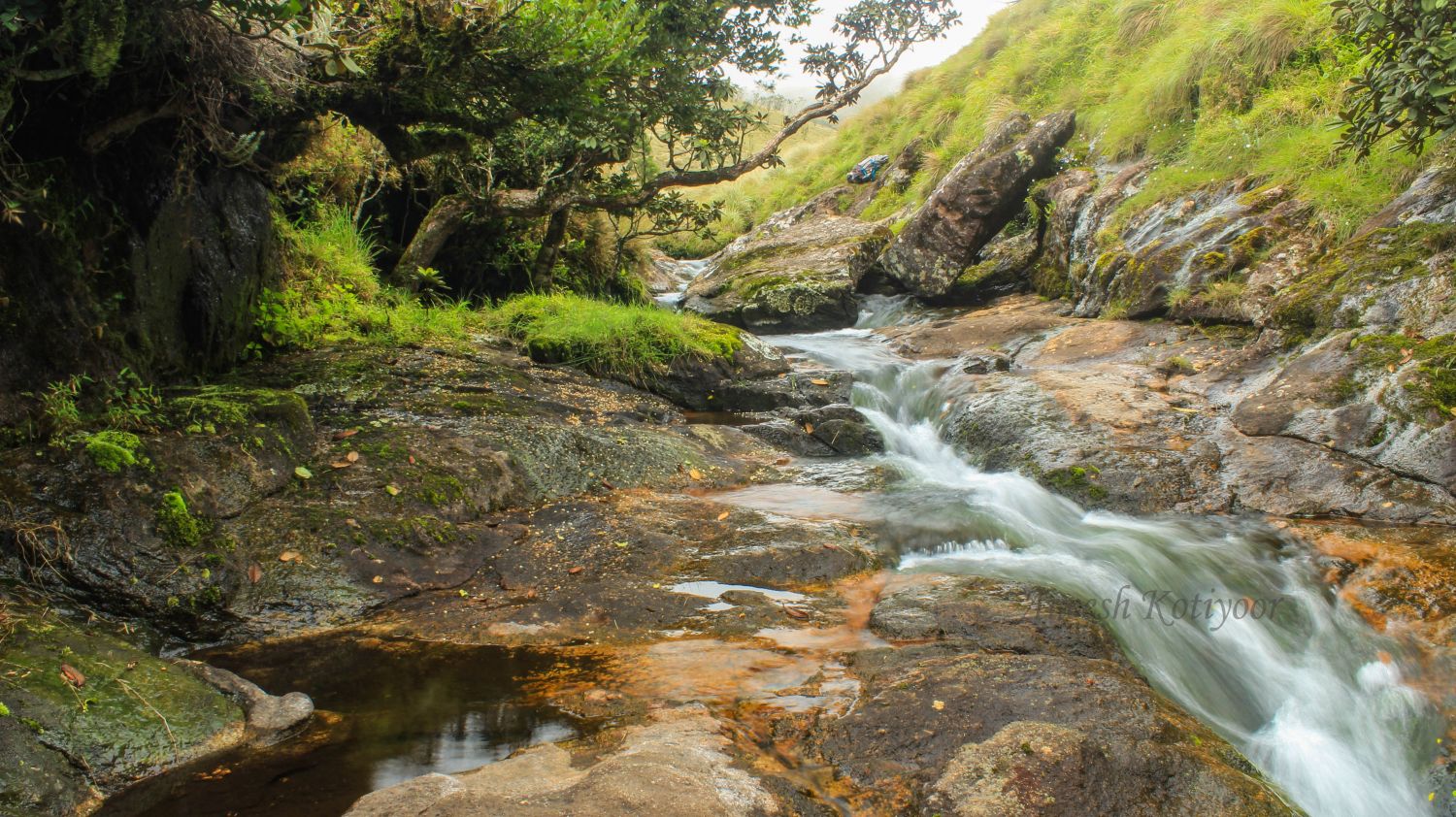 Meesapulimala Munnar