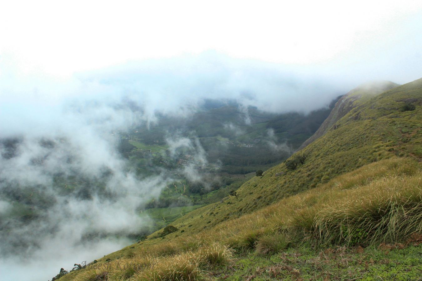 Meesapulimala Munnar