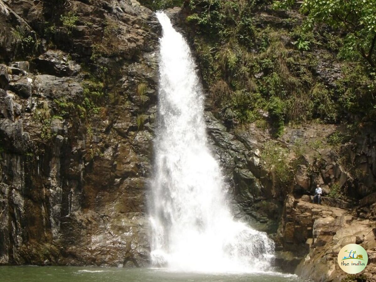 Ninai Waterfalls Statue of Unity