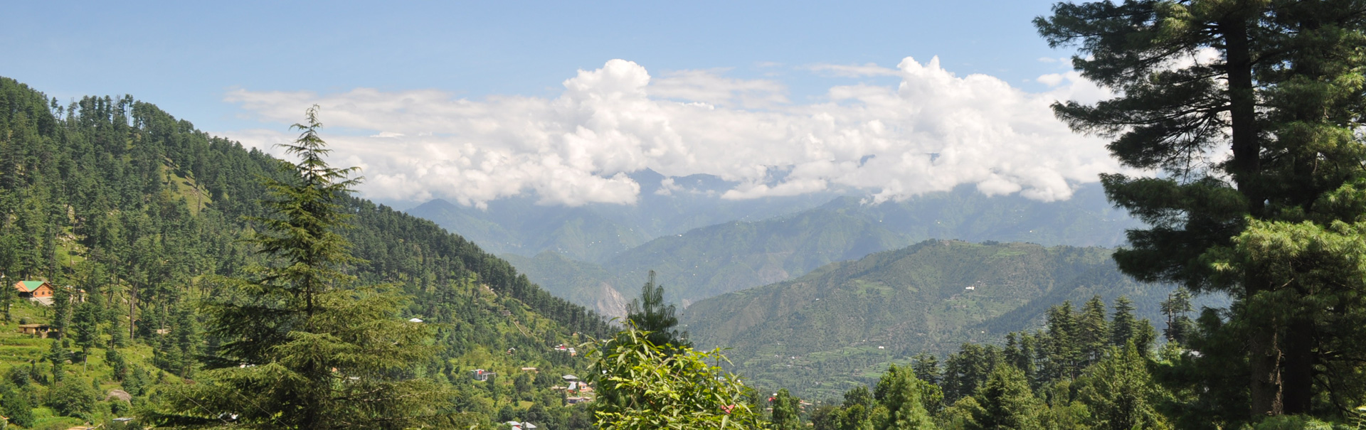 Patnitop