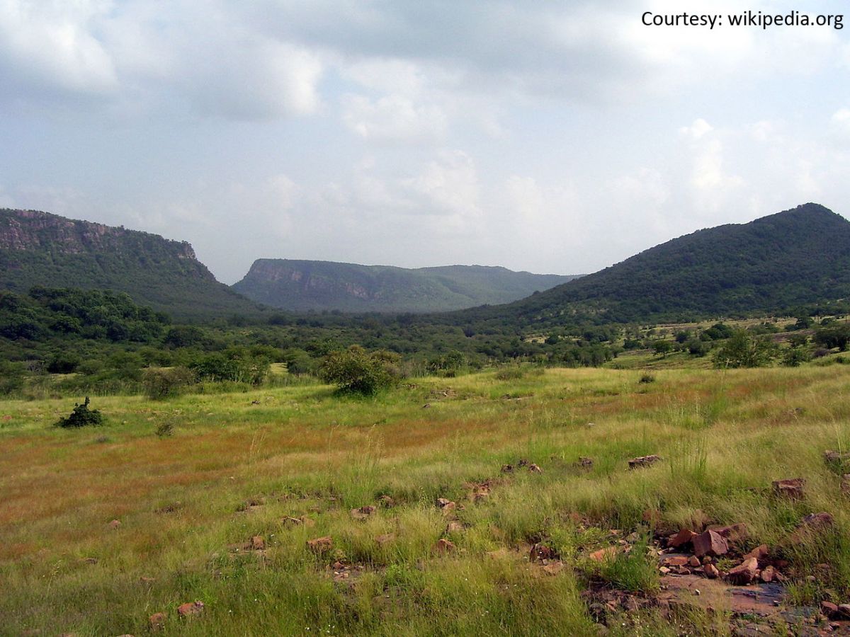 Ranthambore National Park Sawai Madhopur