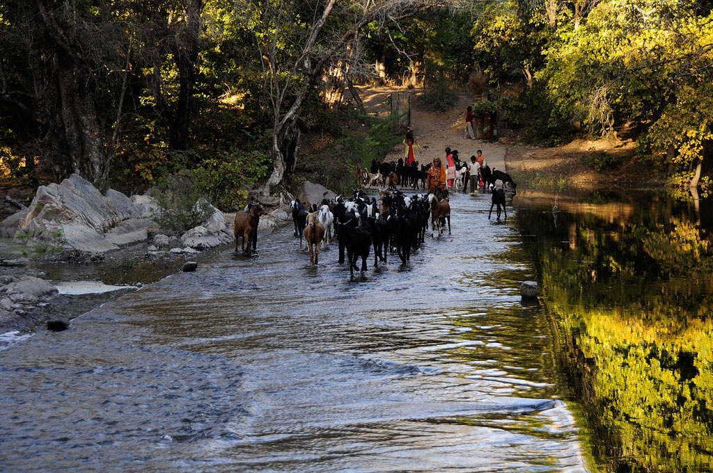 local citizens exploring Polo Forest