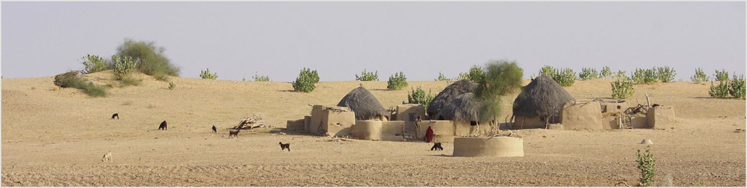 Thar Desert Jaisalmer