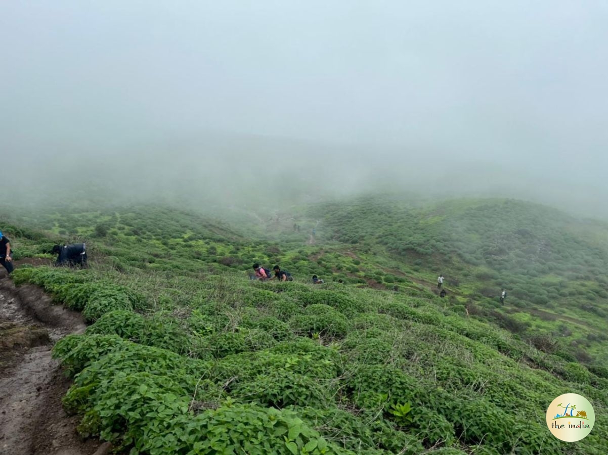 Salher Fort Satana