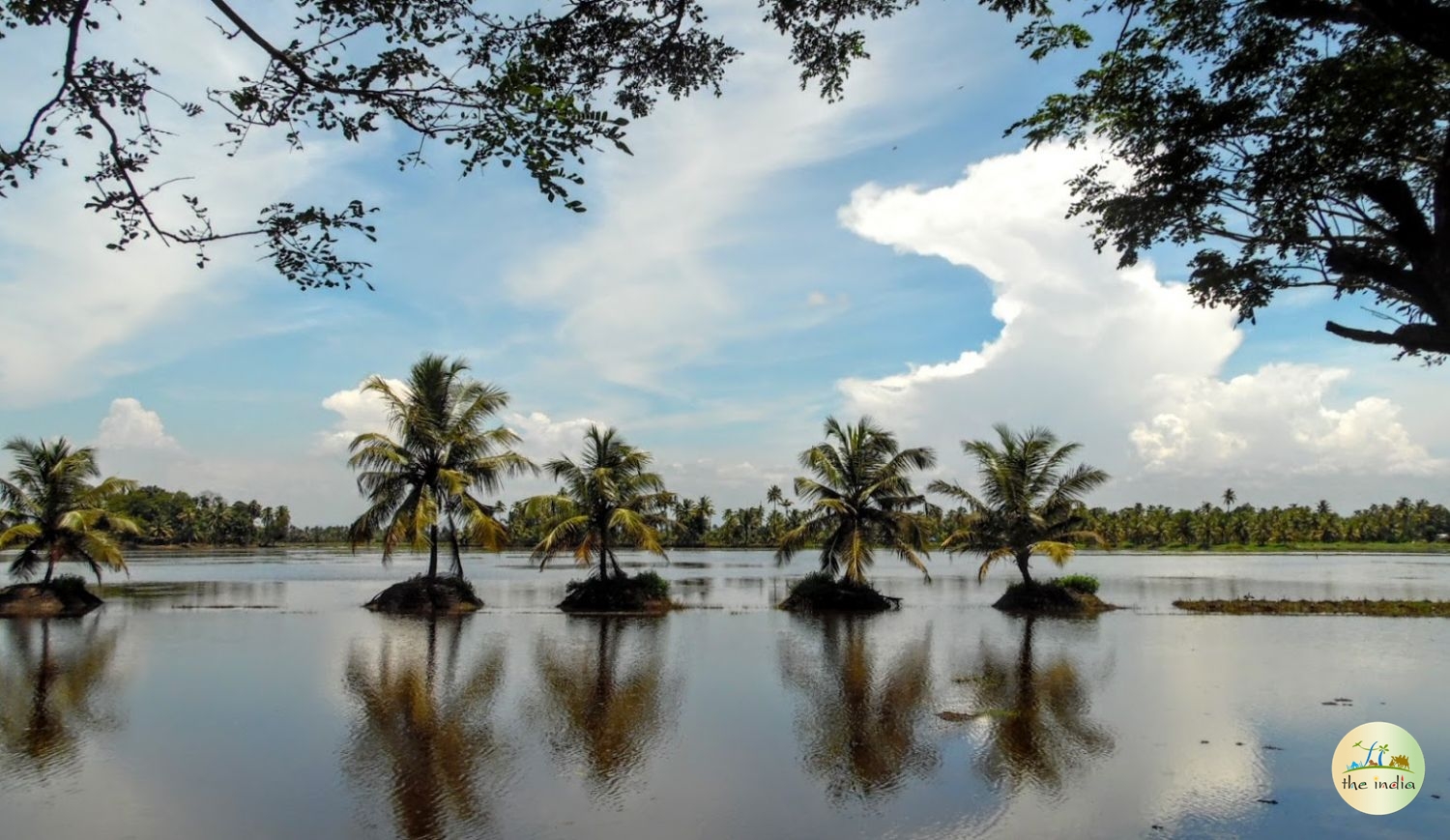 Backwaters of Kerala Kottayam