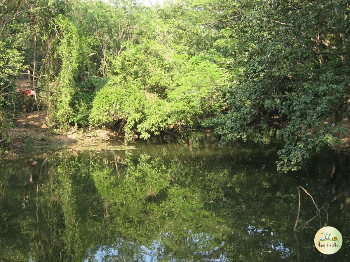 Sanjay Gandhi National Park Mumbai