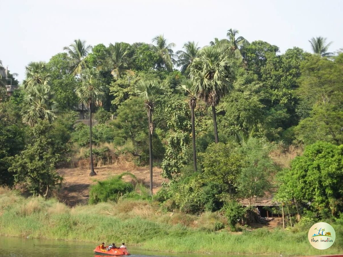 Sanjay Gandhi National Park Mumbai