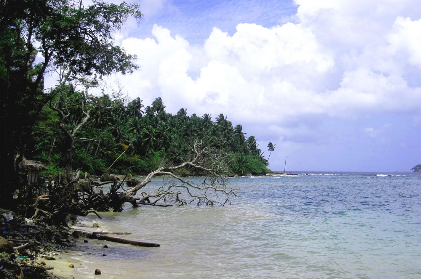 Havelock Island Port Blair