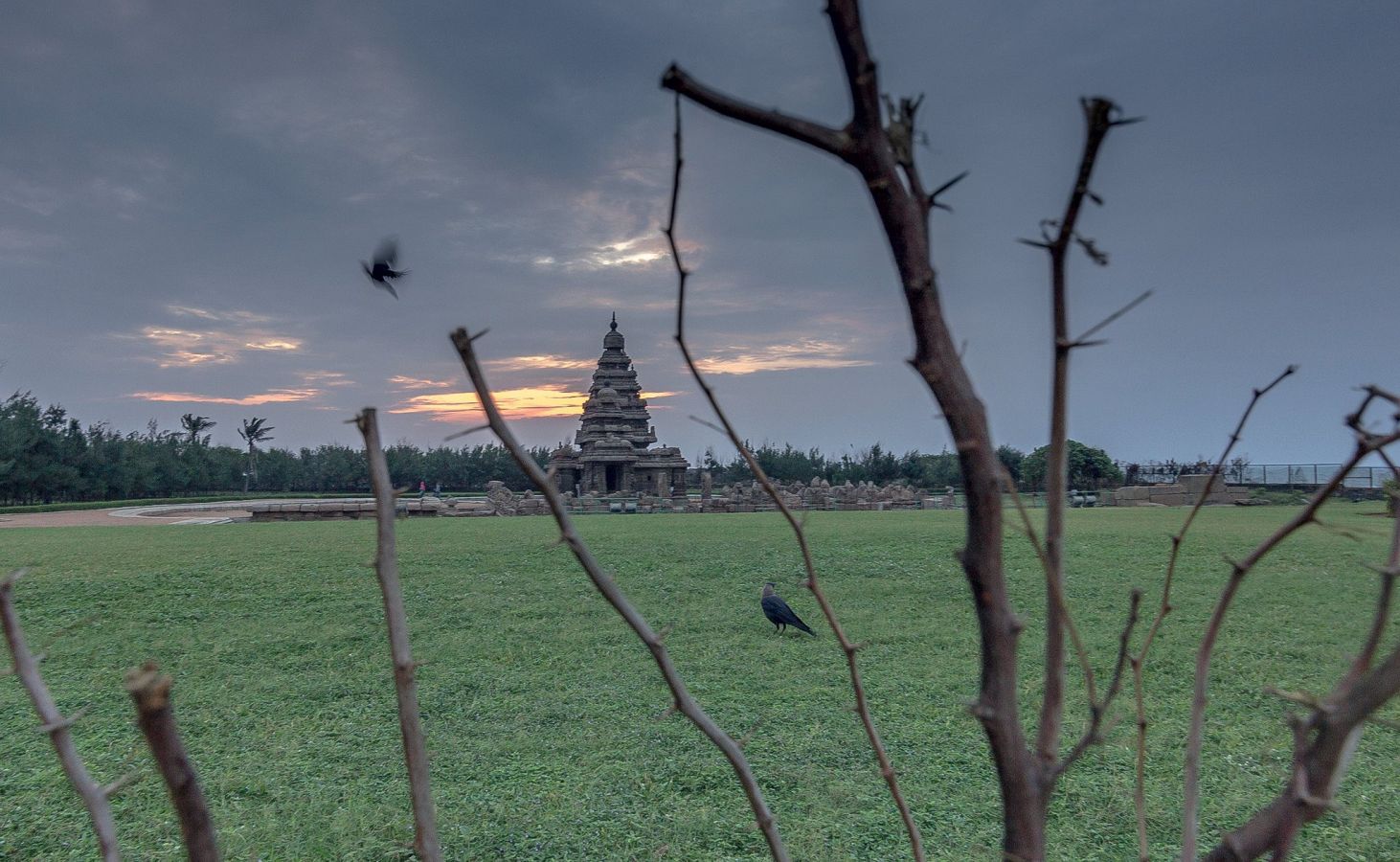 Shore Temple Mahabalipuram