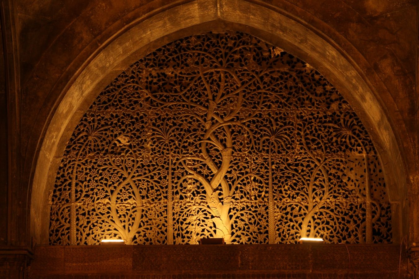 Sidi Saiyyed Mosque Ahmedabad