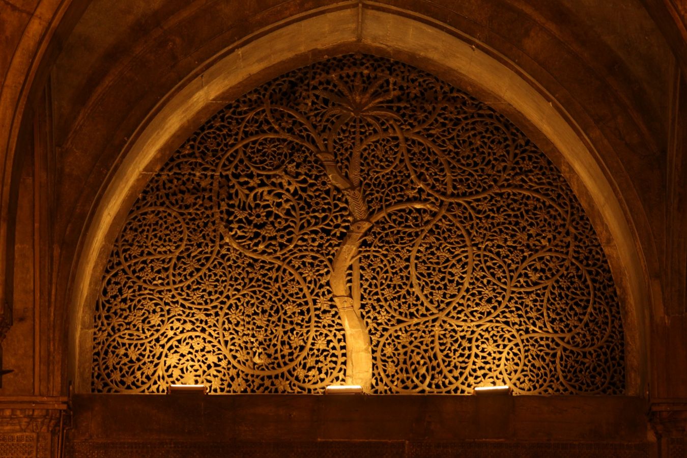 Sidi Saiyyed Mosque Ahmedabad