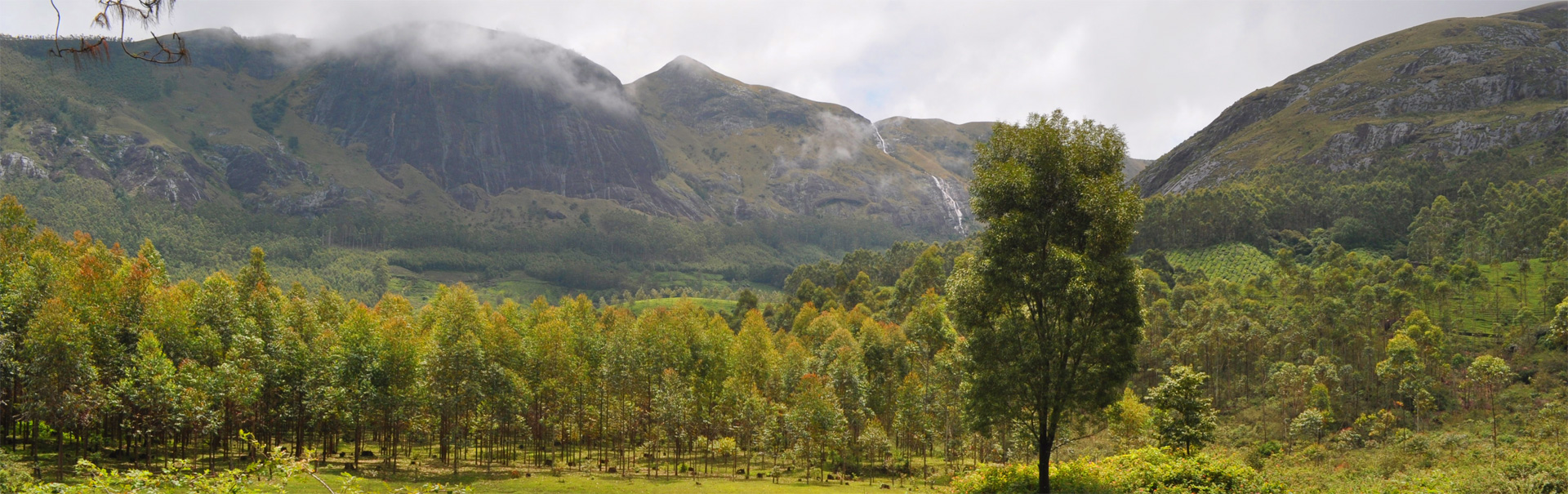 Silent Valley