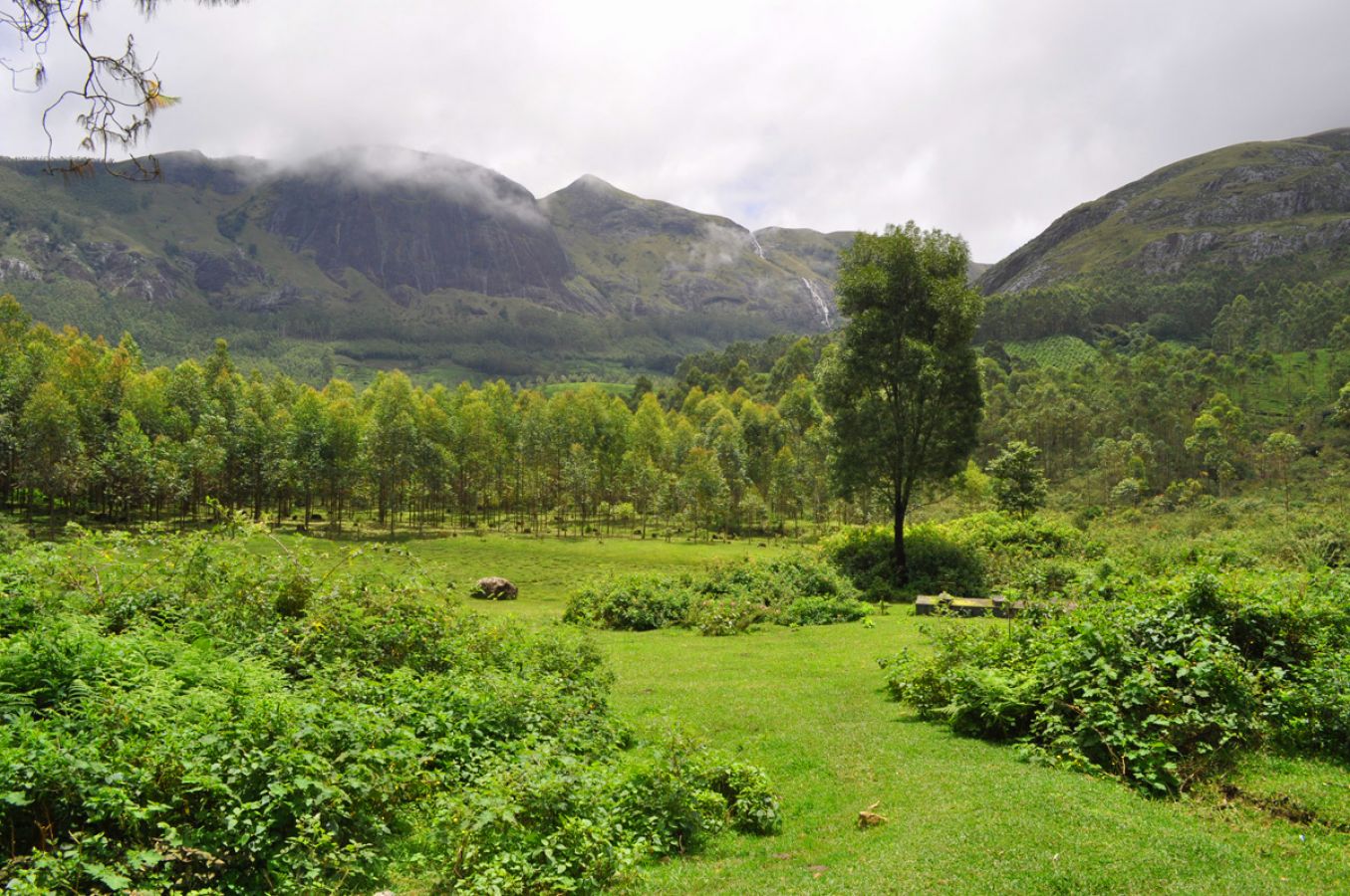 Silent Valley Munnar