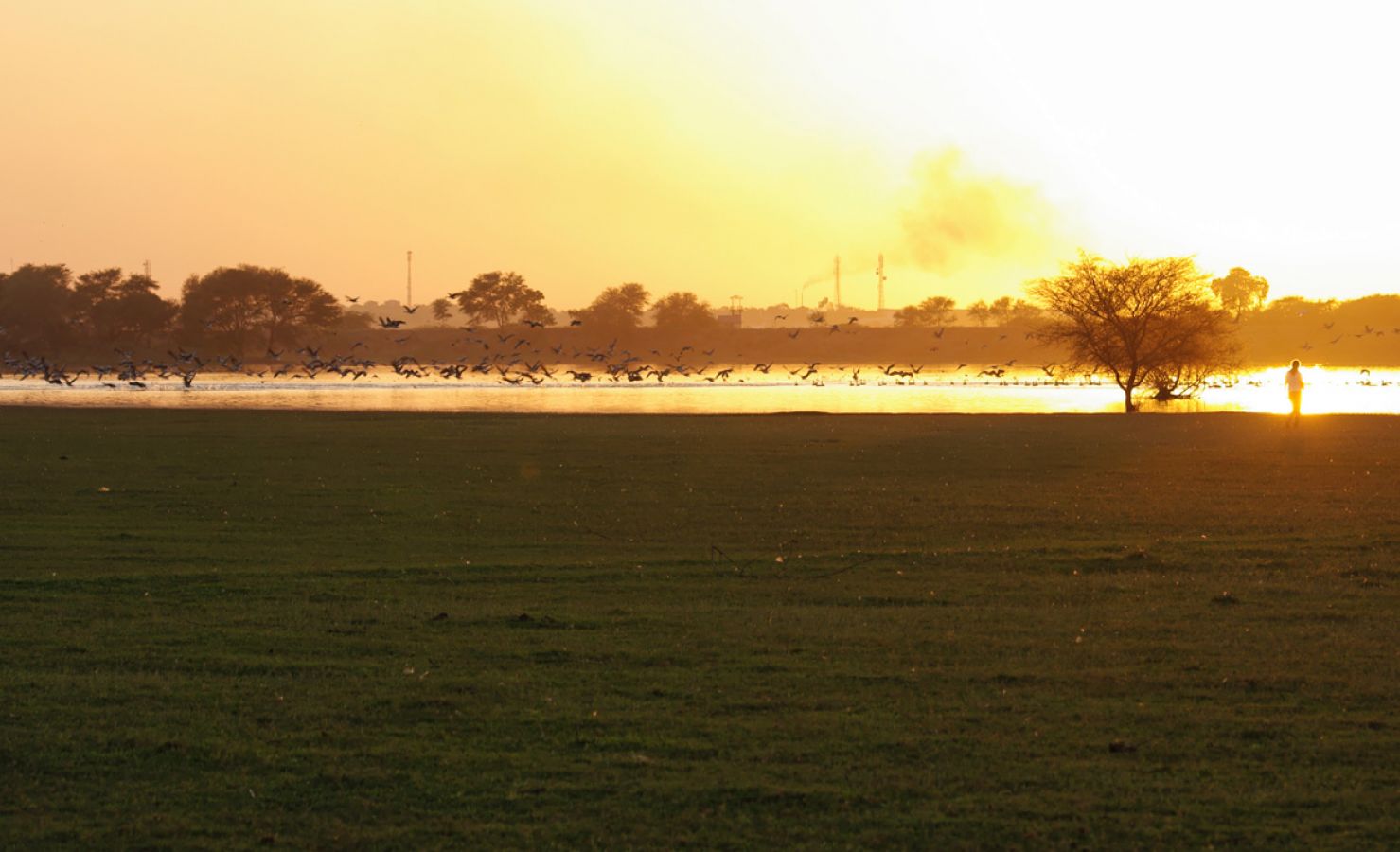 Thol Bird Sanctuary Ahmedabad