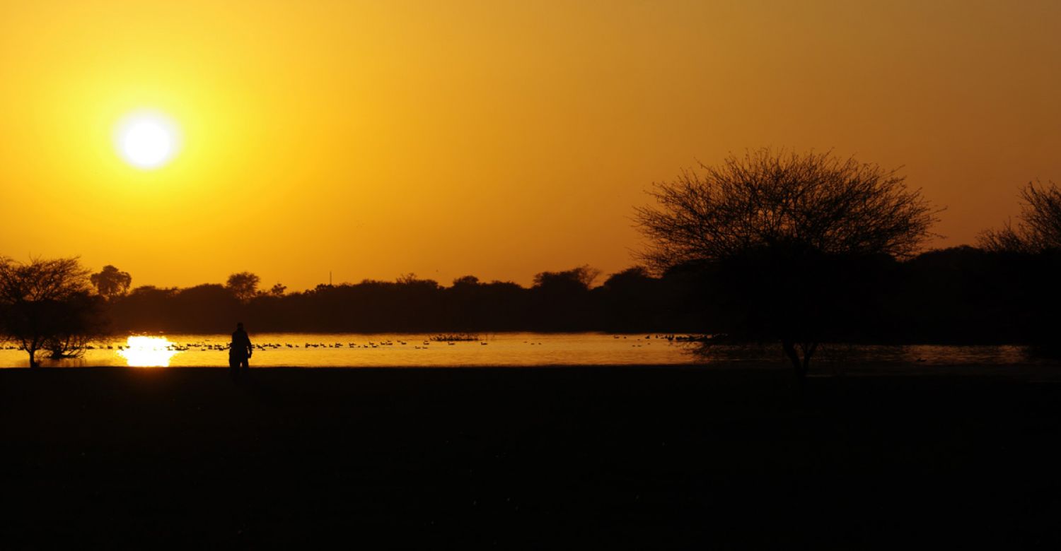 Thol Bird Sanctuary Ahmedabad