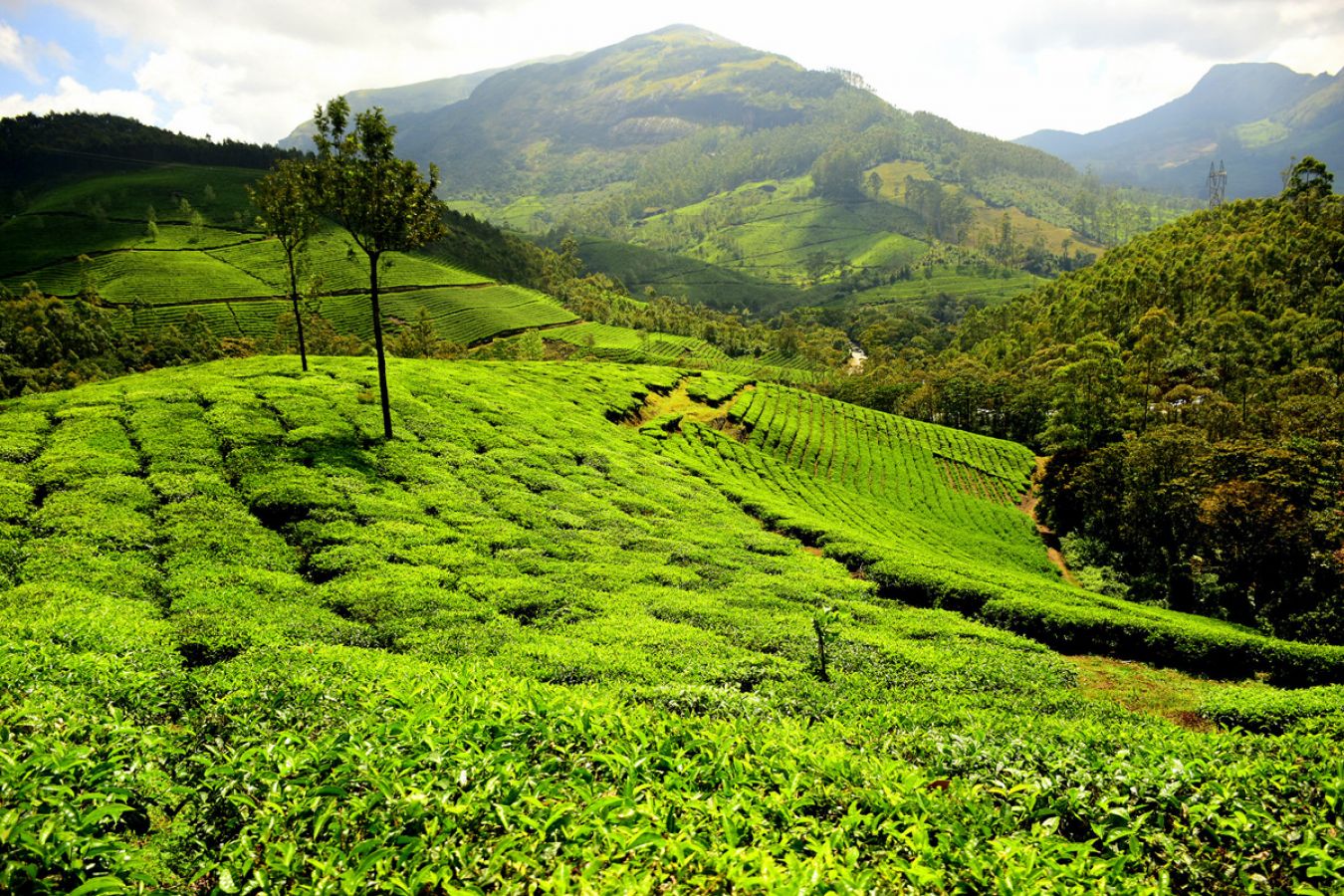 Munnar Hill Station Munnar