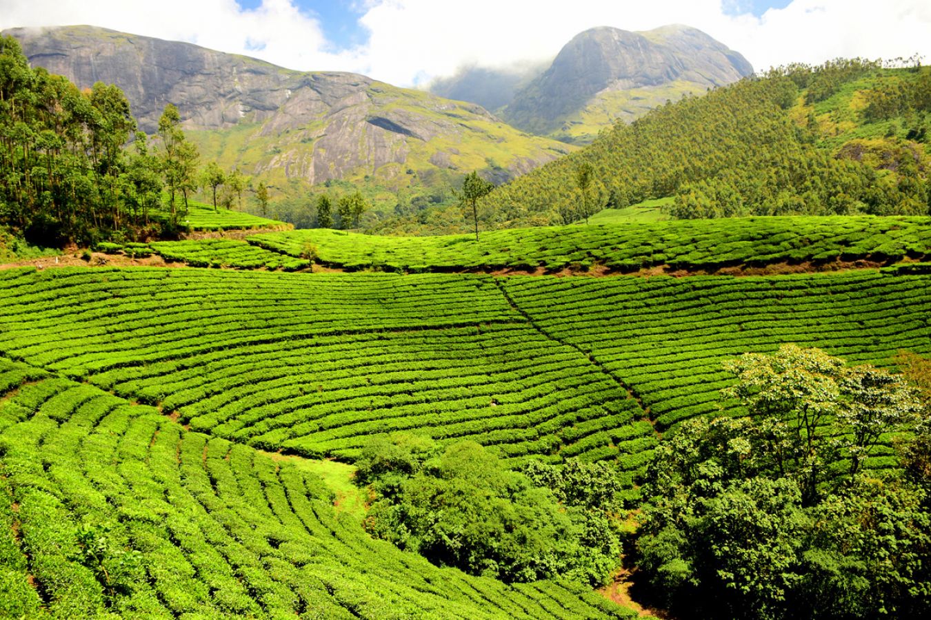 Munnar Hill Station Munnar