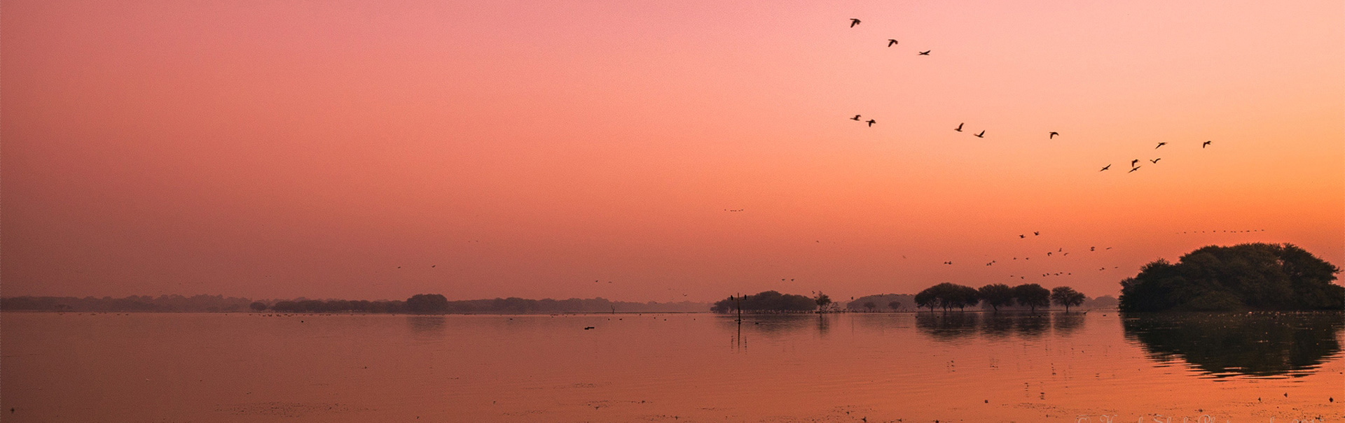 Thol Bird Sanctuary