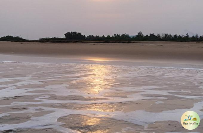 Auroville Beach