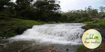 Bear Shola Falls